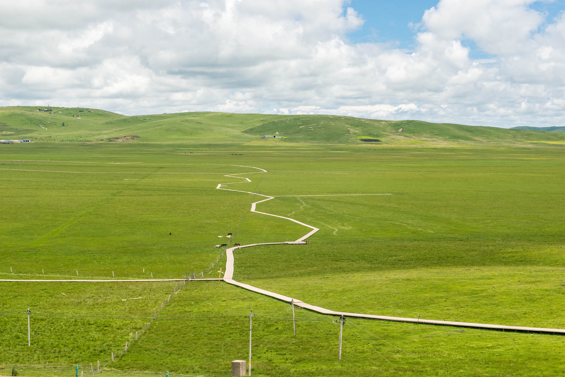 红军走过的草原读后感(若尔盖草原是红军走过的草原)_力贝号