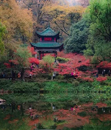 湖南大学2019土木工程硕士研究生拟录取公示名单