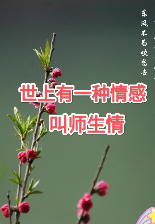 有一道风景最隽永,那就是师魂;有一种情感最动人,那就是师生情