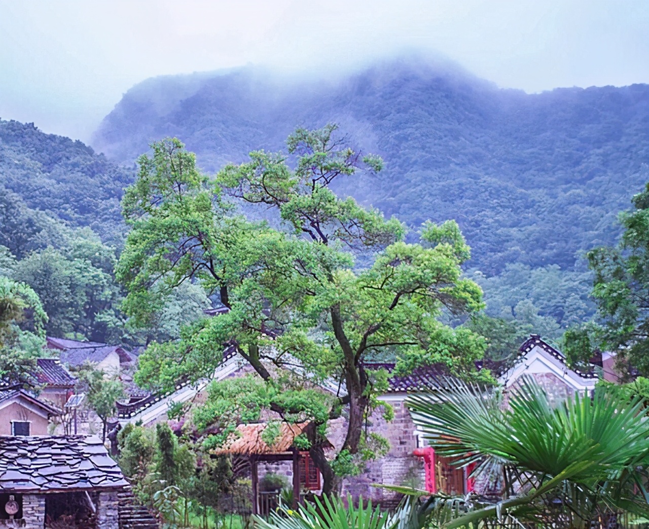 没开空调盖毛毯，门票免费人却少，湖北避暑纳凉佳地，少有人发现