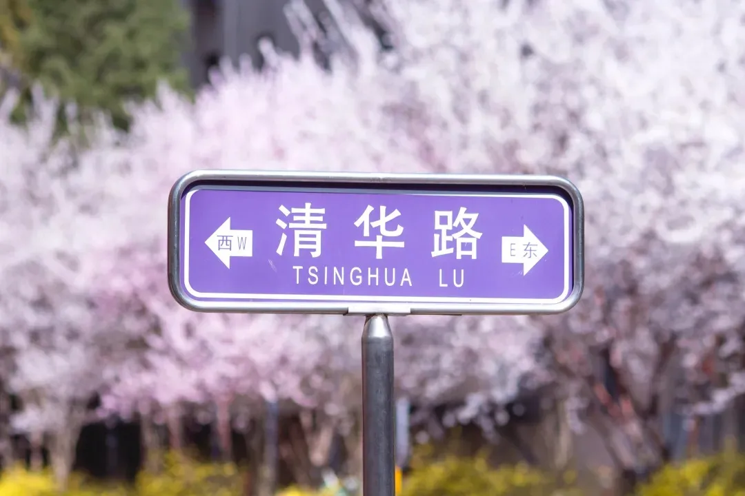 艺考资讯 | 九大美院的校园景色battle，也是神仙打架