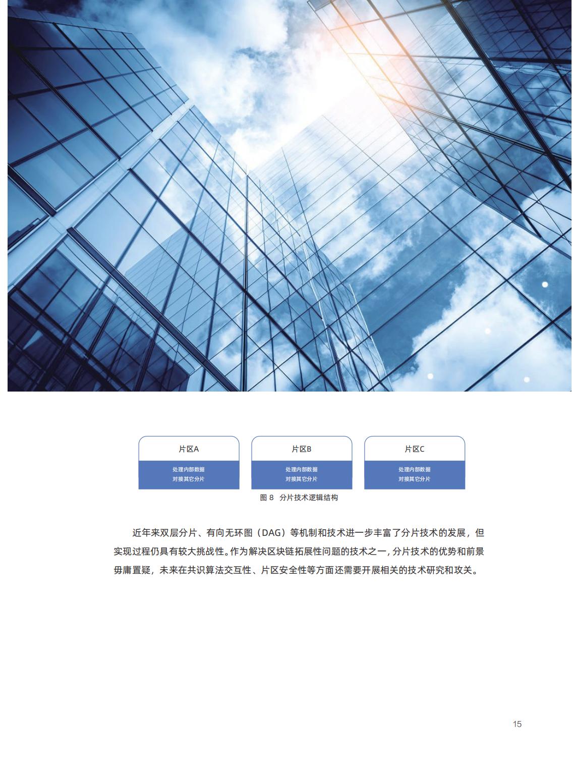 信任经济的崛起：中国区块链发展报告