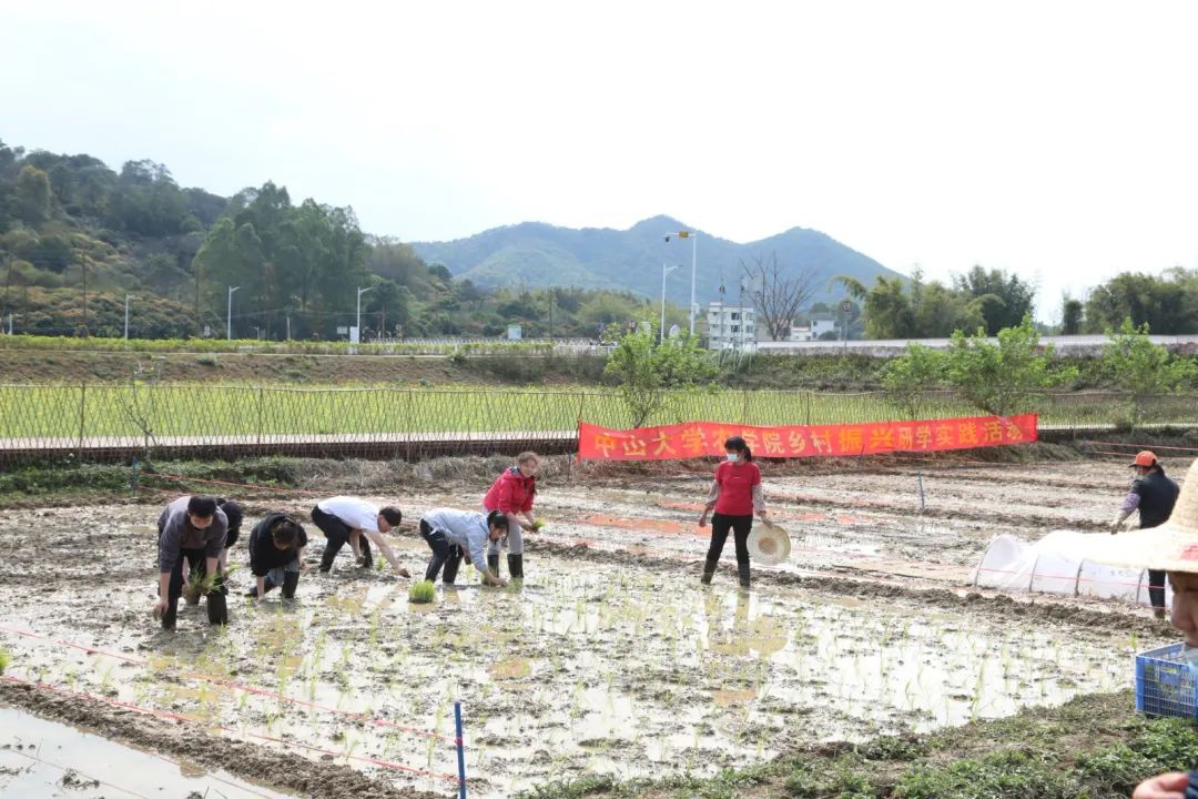 从化｜打造产学研高地，中山大学农学院助推街口谱写乡村振兴新篇章