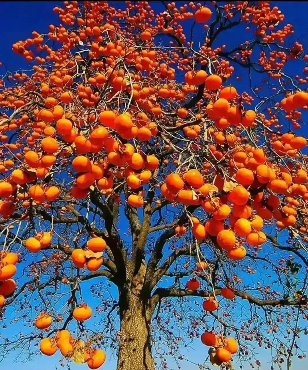 什么？你说头条创作，没有素材可写？教你3招，素材随你挑选