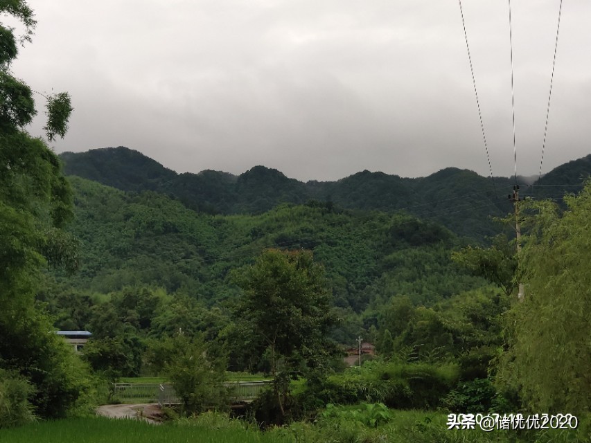 感悟:生活需要仪式感，人人都需要