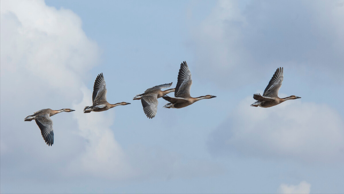 如何写出亮眼的议论文题目