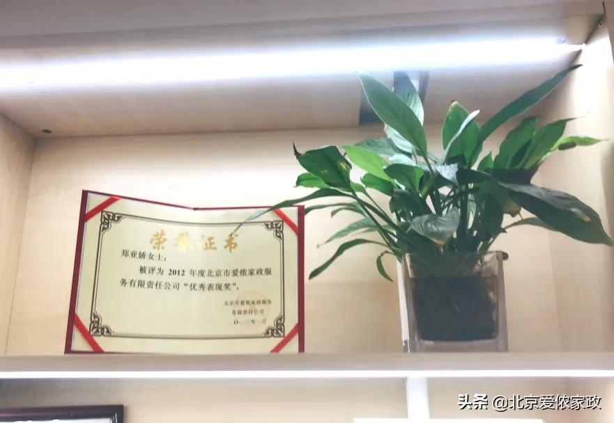 重磅升级,焕新再出发!爱侬家政全新门店形象惊喜亮相