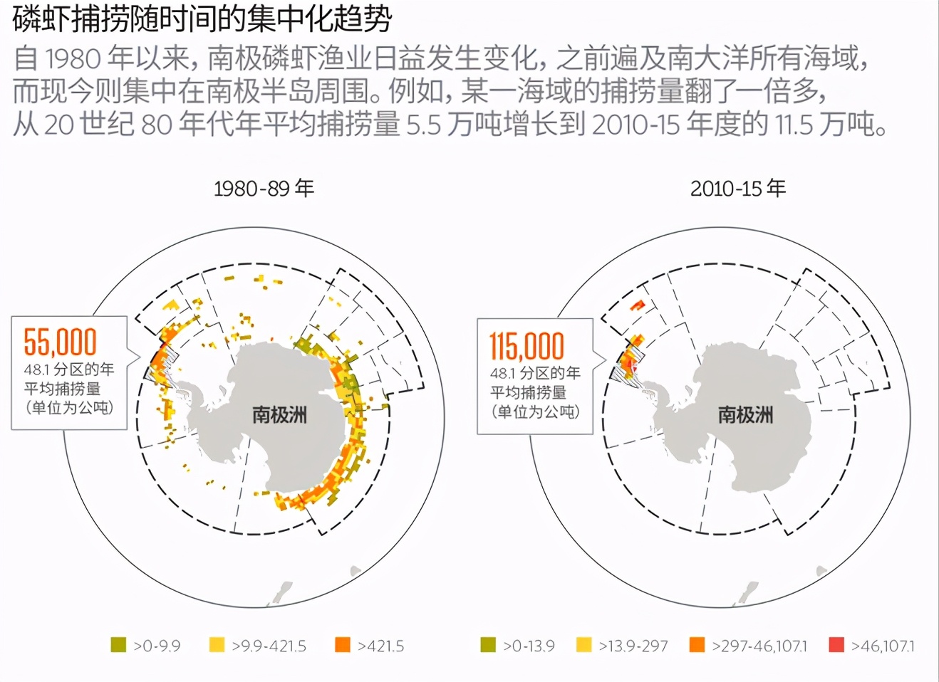 南极磷虾：6.5亿吨“海上金矿”，中国是最大“黑马”？