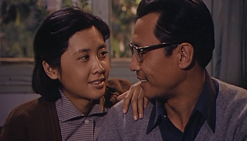 看老电影《骆驼草》