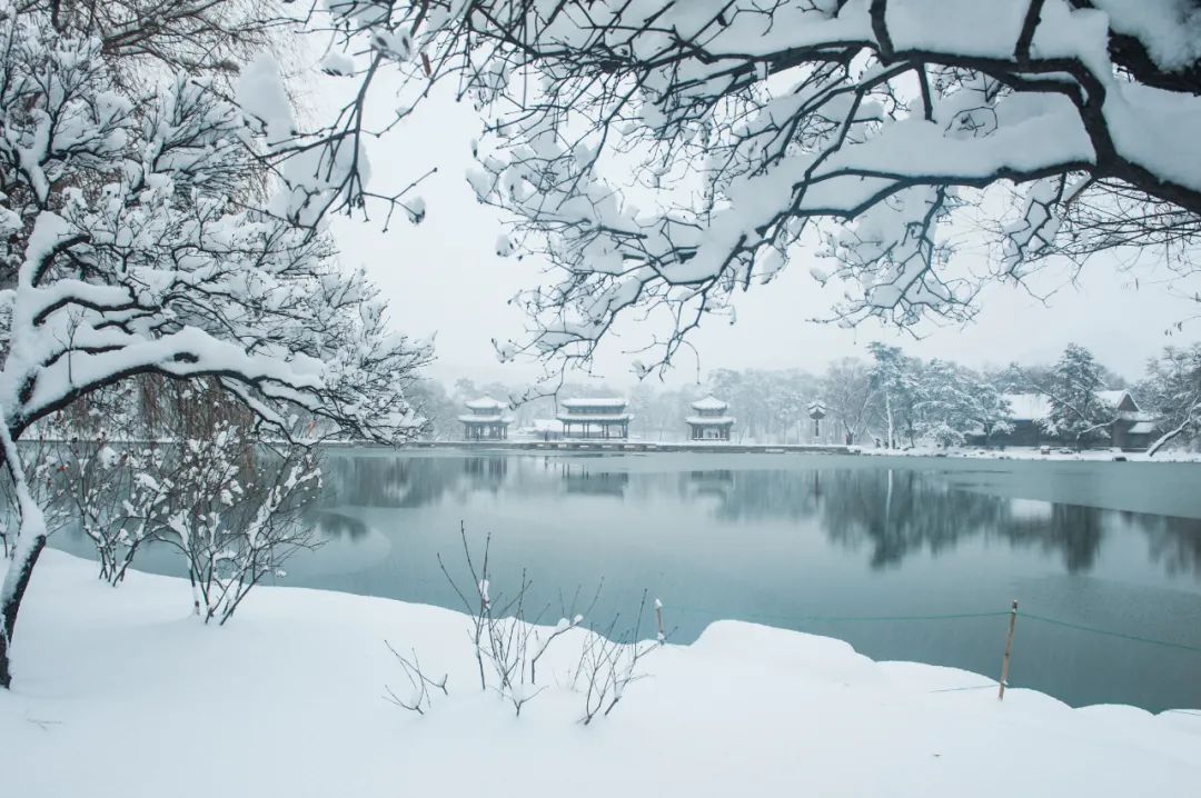 12句冬雪诗词，浪漫有情调，治愈了整个冬天