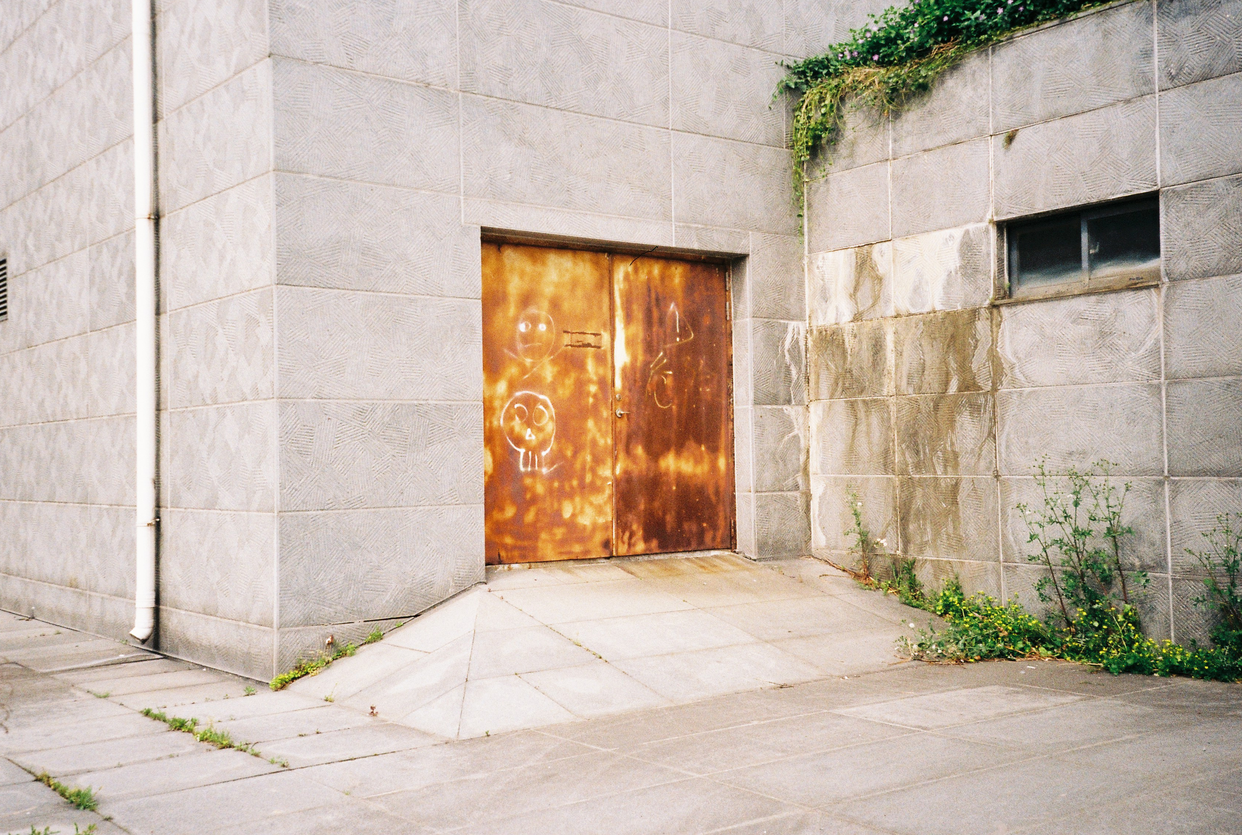 上海味道 |消逝的复旦大学太平洋金融学院