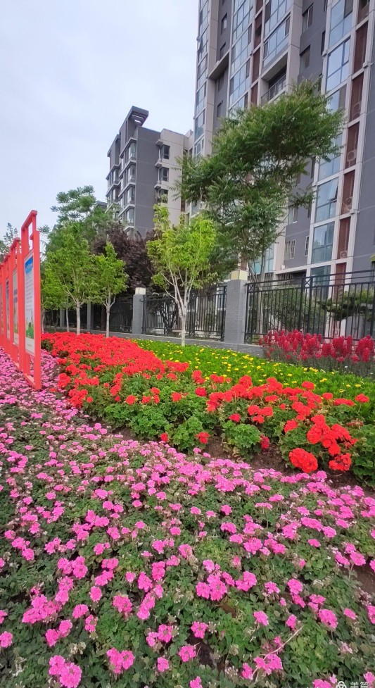 与佛祖同日生日有感