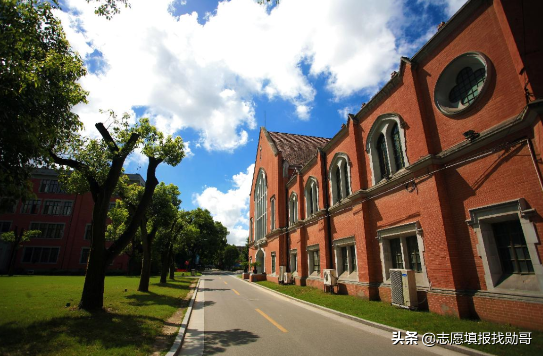 上海985大学（妥妥的潜力股）