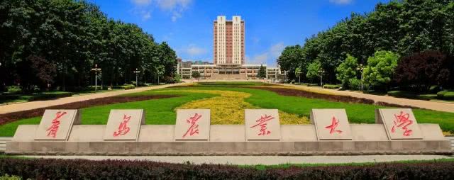 笑死人不偿命的山东省大学别称，山东大学为何自诩世界一流？