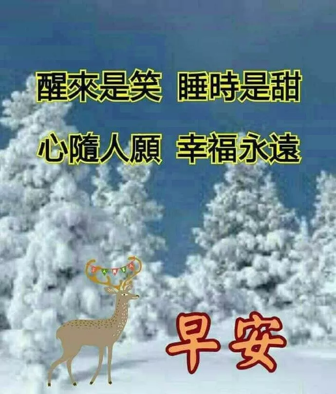 早晨问安：身安、心安、早安、晚安、一生平安，早安