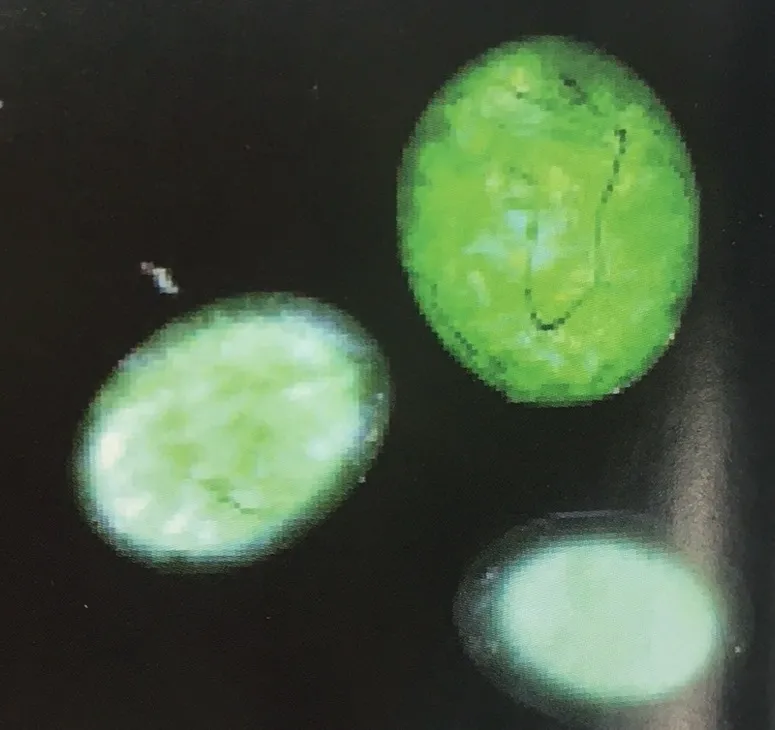 翡翠原石可以造假吗怎么造(翡翠原石还能作假？这到底是怎么一回事？)