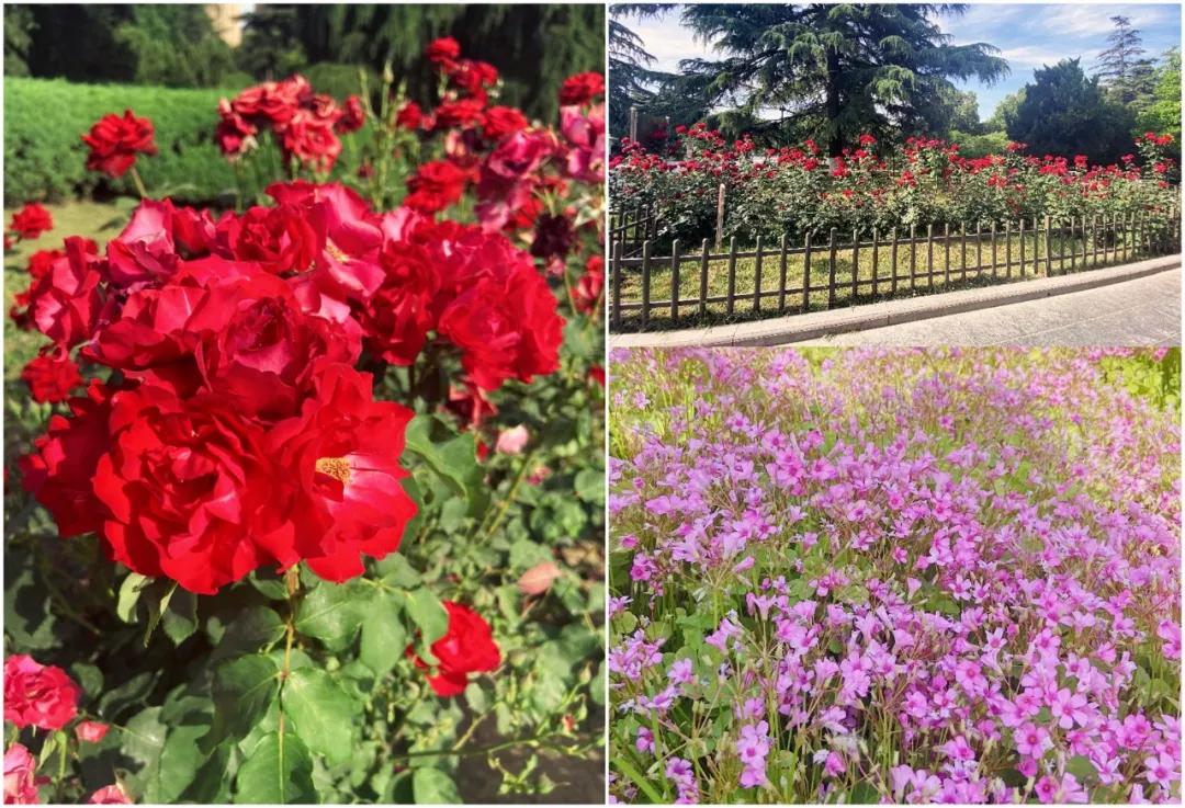 西安娱乐场所 西安蓝涛高级私人会所-徐拾记官网