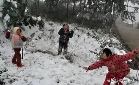 俗语“雷打冬，十个牛栏九个空”啥意思？今冬多地打雷有啥说法？