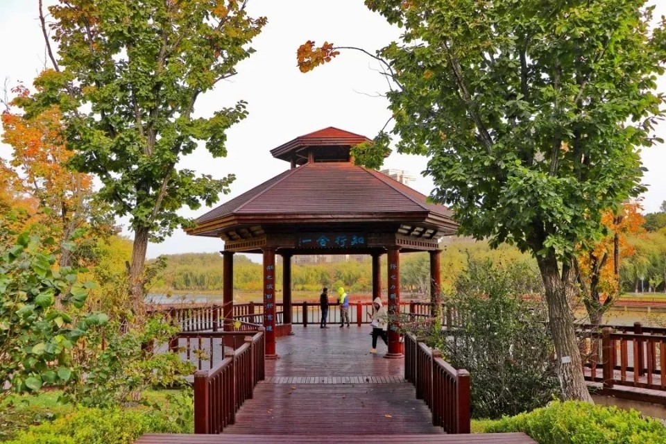 向往的大外 | 打卡大外网红景点