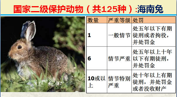 国家保护动物分几个等级（125类二级野生保护名录）