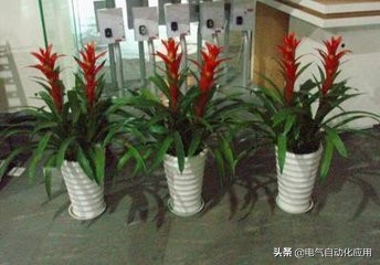 什么是静电?静电到底有多恐怖?最严重可致人死亡，还不来看看！