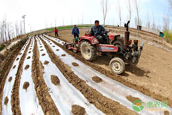 土地深松有什么好处？2019深松补贴金额、时间及方式