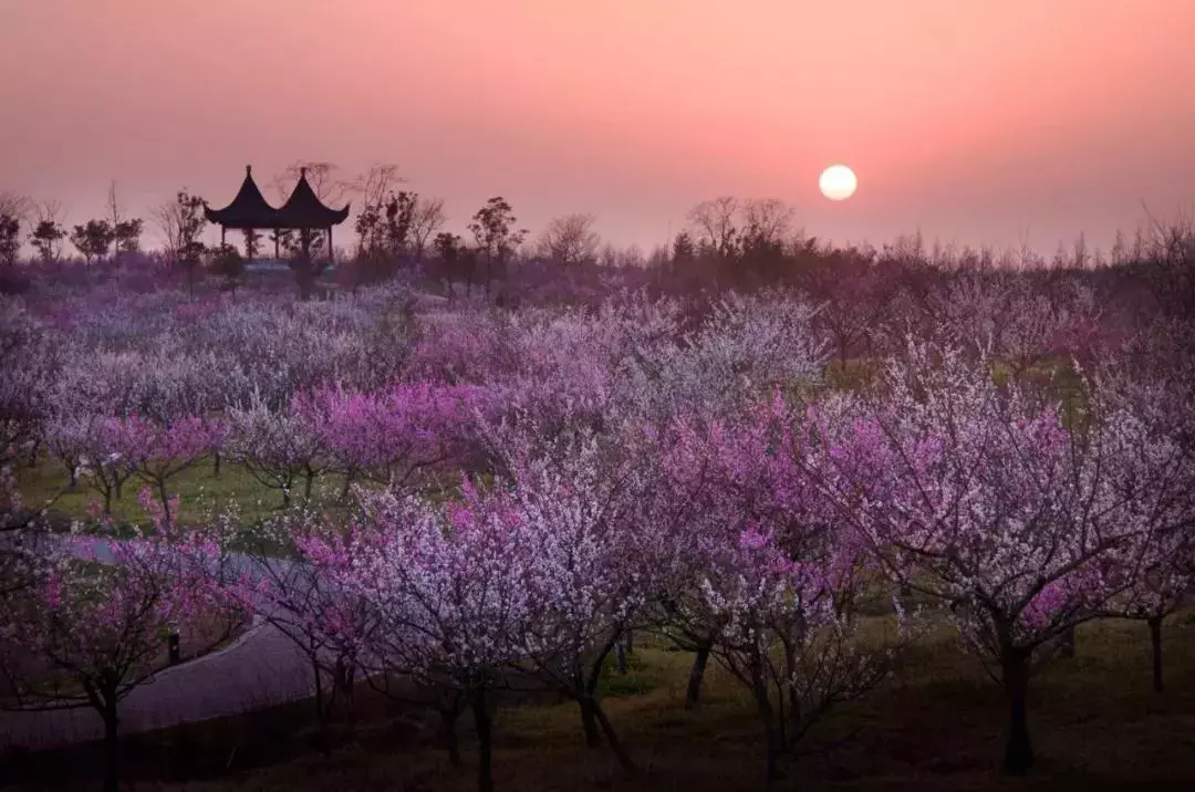 上海赛车门票(上海十佳乡村旅游优选地，第二批市民休闲好去处，侬去过几处？)