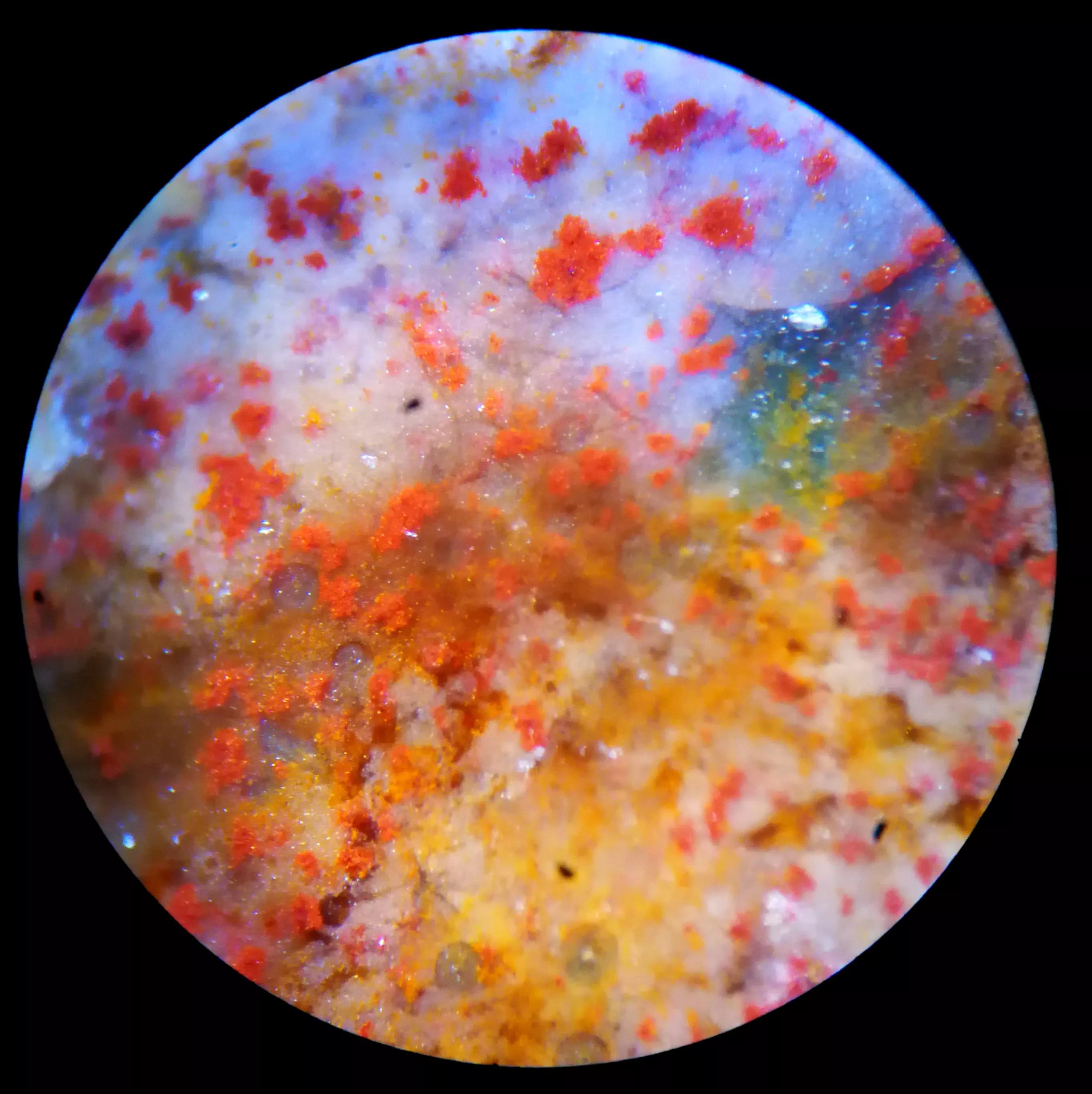 一颗虎皮纹色的十二眼象雄天降石古天珠.