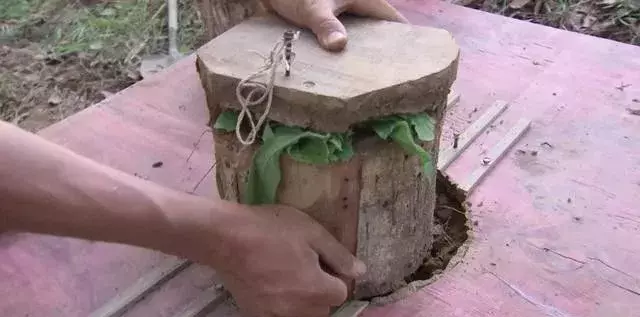 挖个坑,埋点土,秋后抬回两千万!蜂农中的绝命毒师