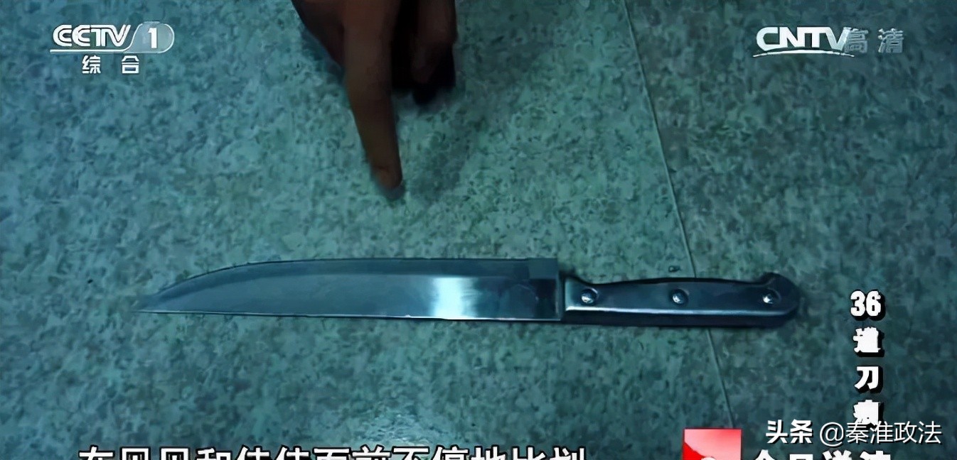 36道刀痕：四川遂宁少女绑架案侦破纪实