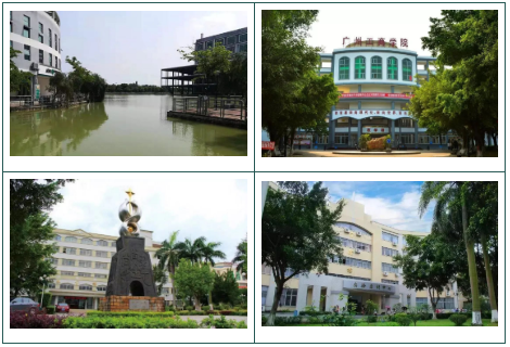 高职高考必看｜全面了解广州工商学院