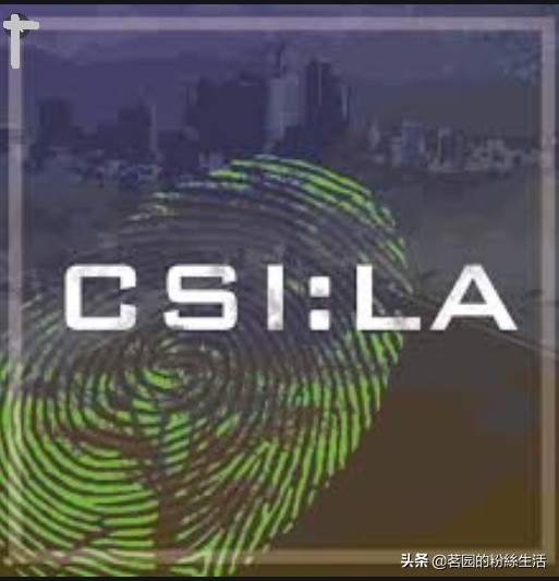 美国专辑《犯罪现场调查：CSI》中最能让人耳目一新的节目