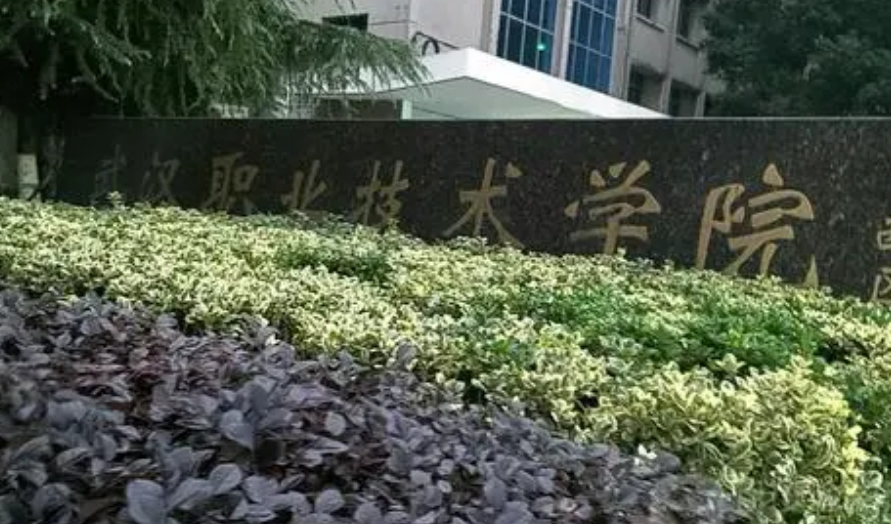 我国3所实力强劲的专科，专科中的“小清华”，分数线不比本科低
