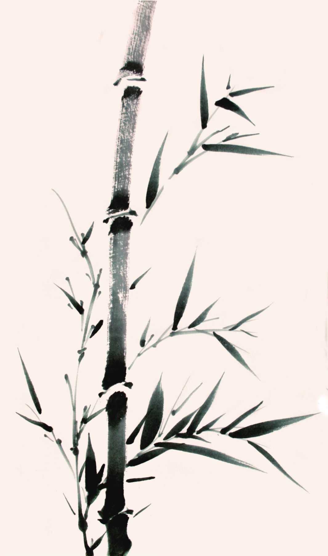 竹子写意画法：分步骤讲解新竹画法，简单易学，学会几分钟一幅画