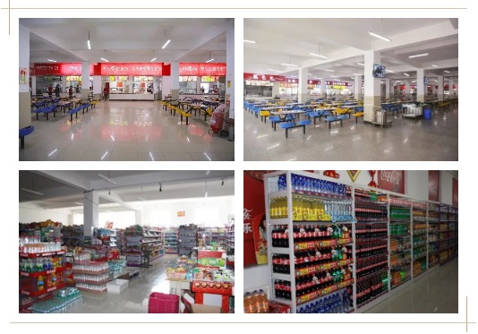 「直击单招」繁花似锦踏春来 未来可期共前行