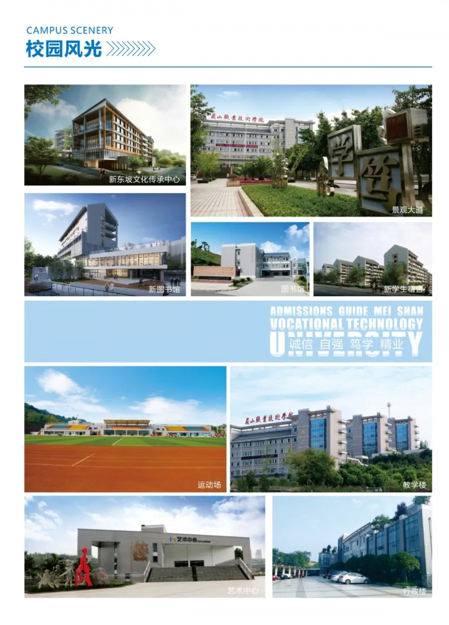 眉山职业技术学院2020年单独招生计划