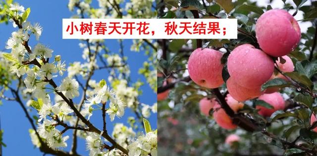 语文二年级下24课《当世界年纪还小的时候》图文解读+知识点+测试