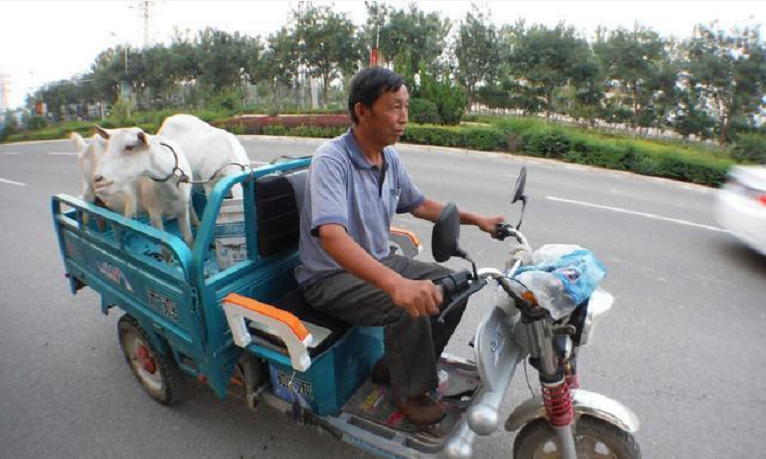 電動三輪車有哪個品牌比較好？“品牌榜三強”出爐，你會怎么選？