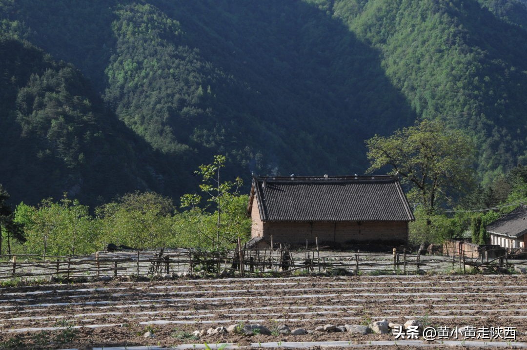 秦岭骨灰级自驾穿越线路，从西安到丹凤，翻越两条山脉一片盆地