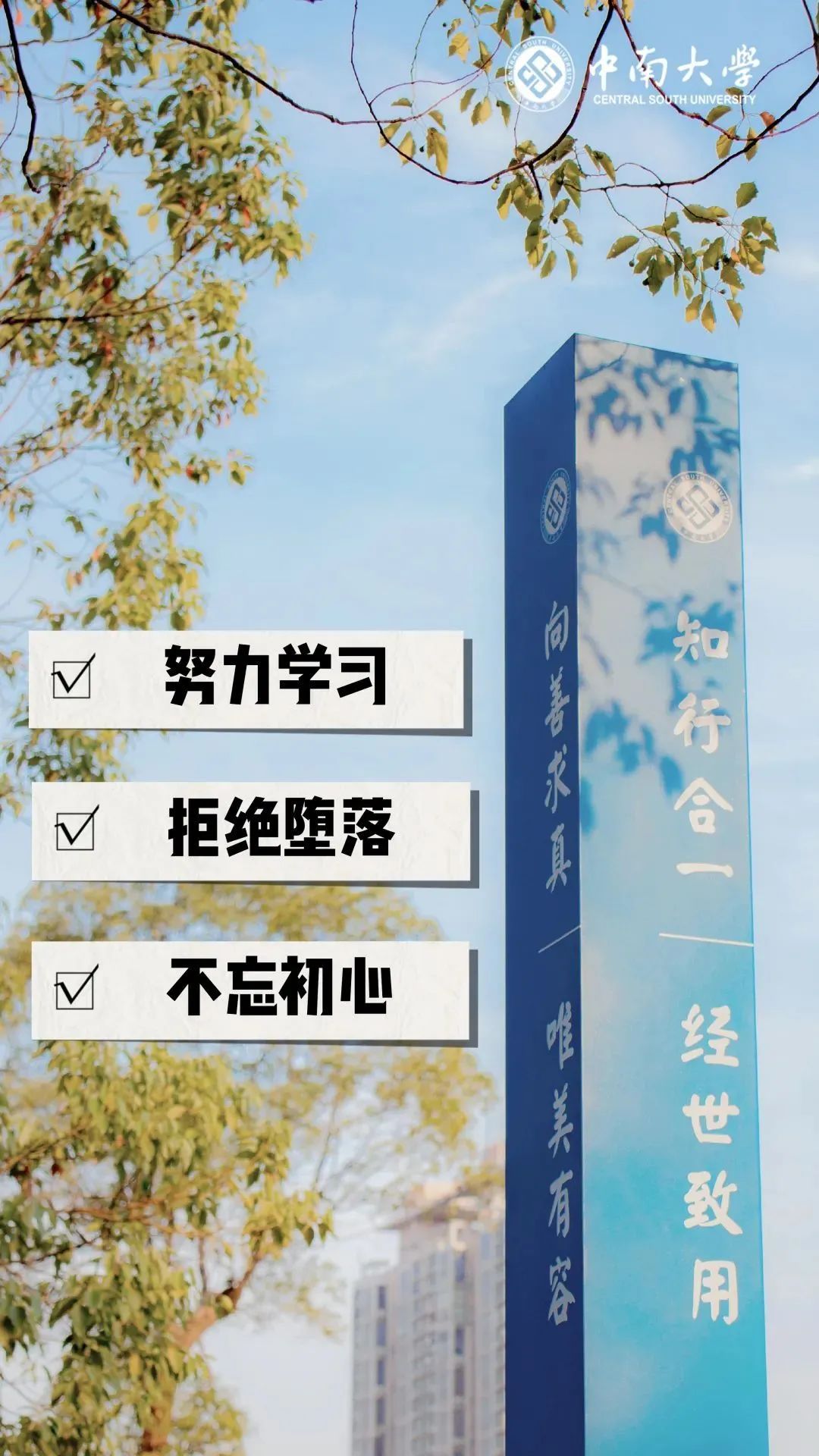 你的理想大学，终于被做成了手机壁纸