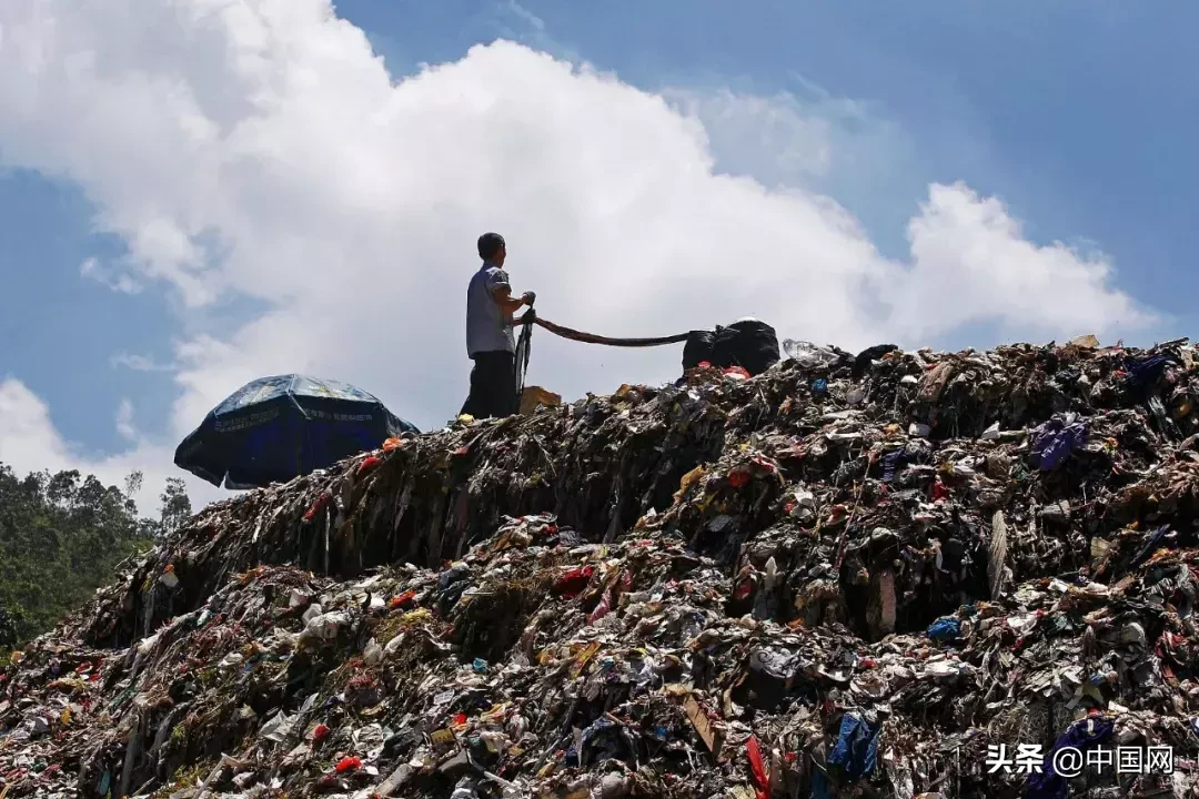 女子因垃圾未分类竟把志愿者掐晕，被行拘3日