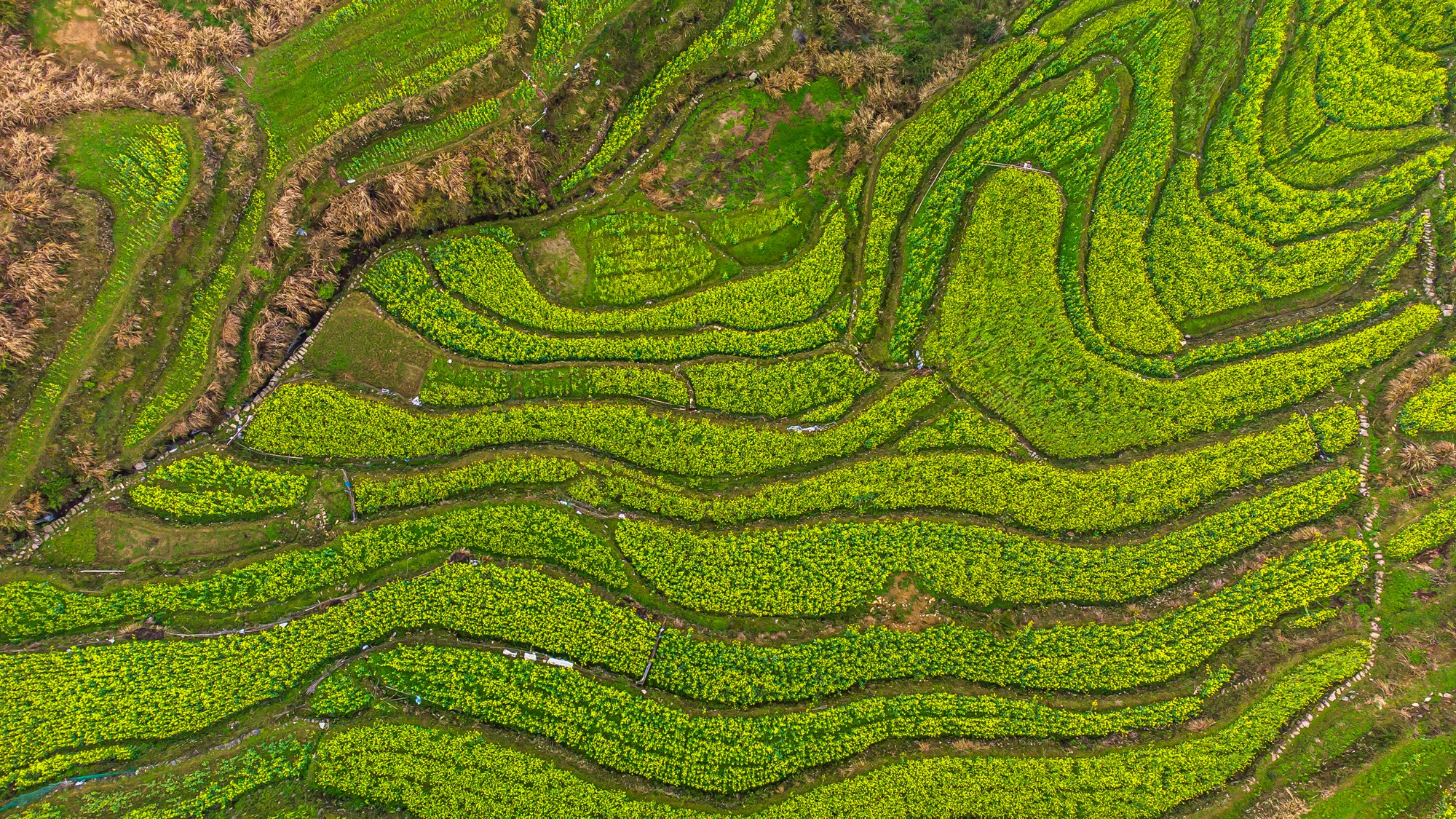 自驾徽州天路，走进真山真水，寻找生活本来的样子