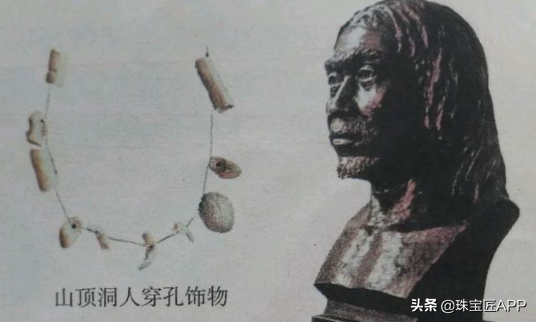 哪些贝壳能做珠宝？去赶海之前记得看看这一篇