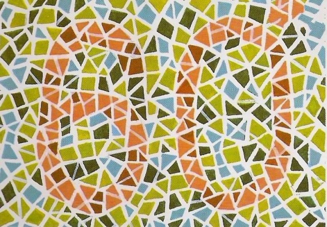 高考体检色觉检查图,高考体检色觉检查图名称俞自萍什么意思-友友