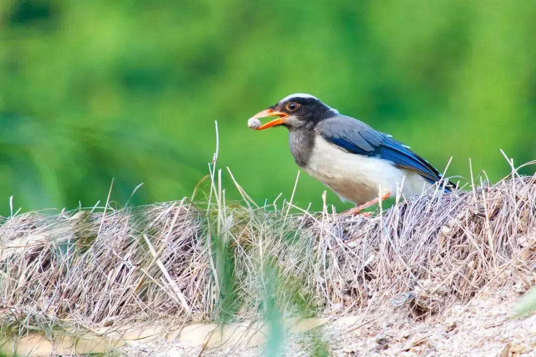 北京这个学校很“火”！坐拥3大花园、果园、动物园，集美貌与知识于一体！