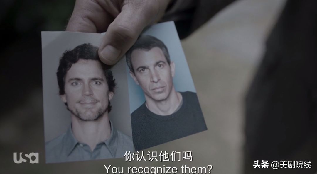 100％的腐烂的西红柿，这种美丽的外表足以看到价值
