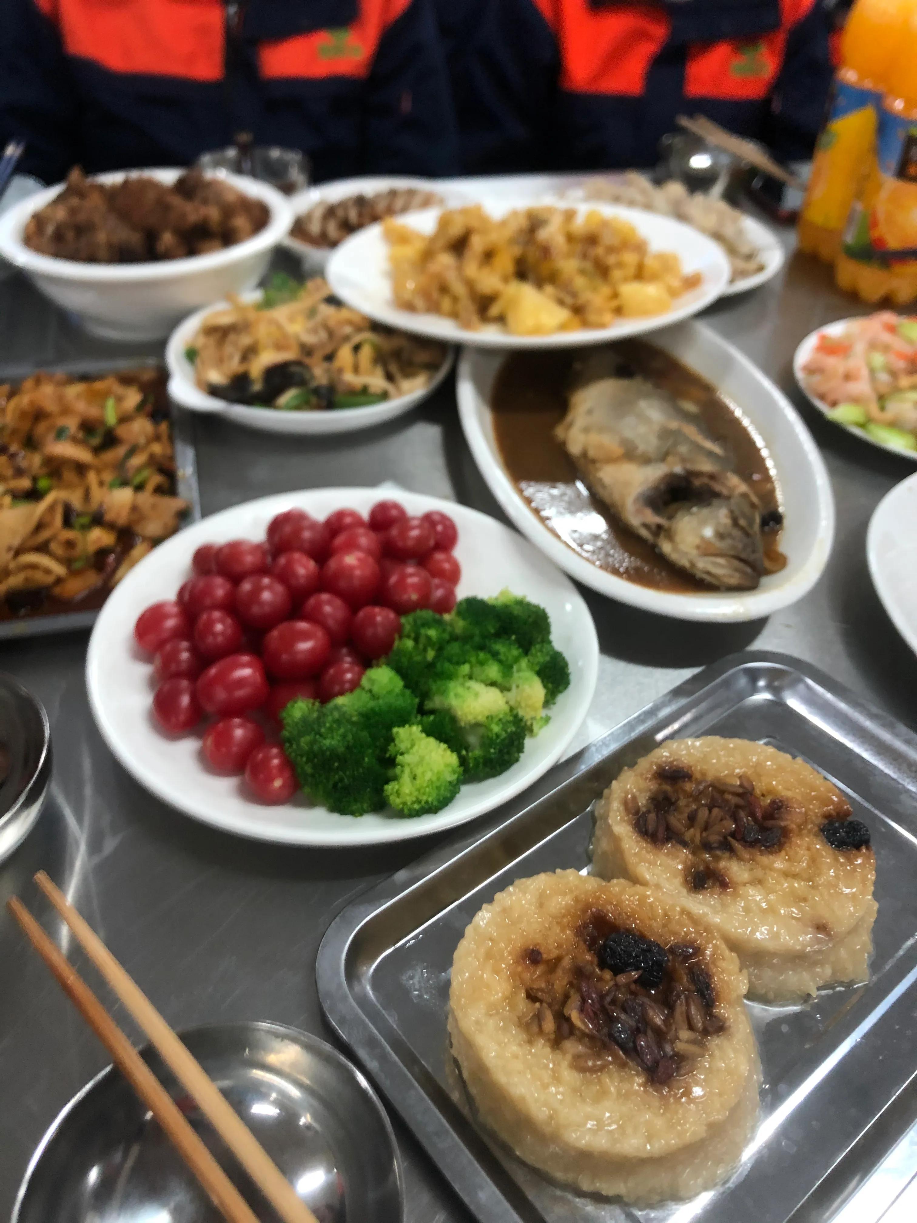 大学生养猪，谈谈真实感受