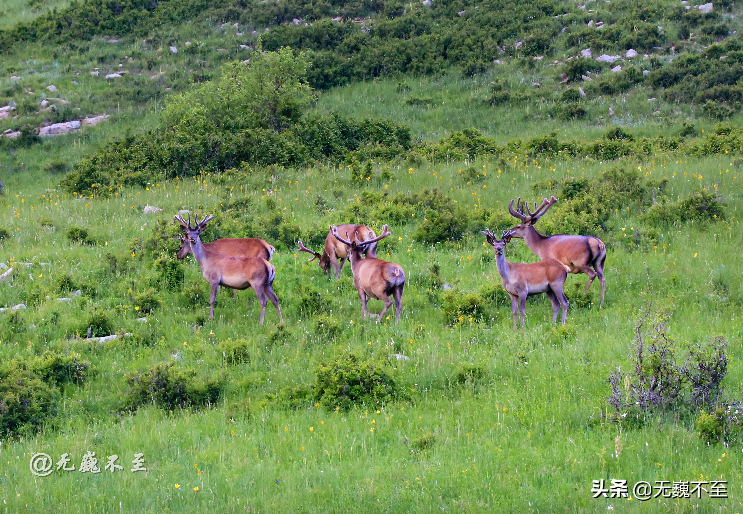 内蒙古缩影——克什克腾自驾攻略，不容错过的九大景点