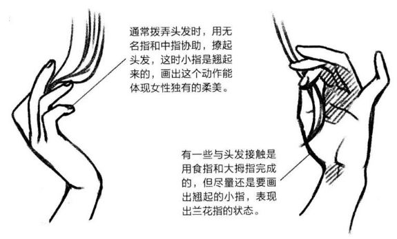 基础漫画入门-手部画法的解剖