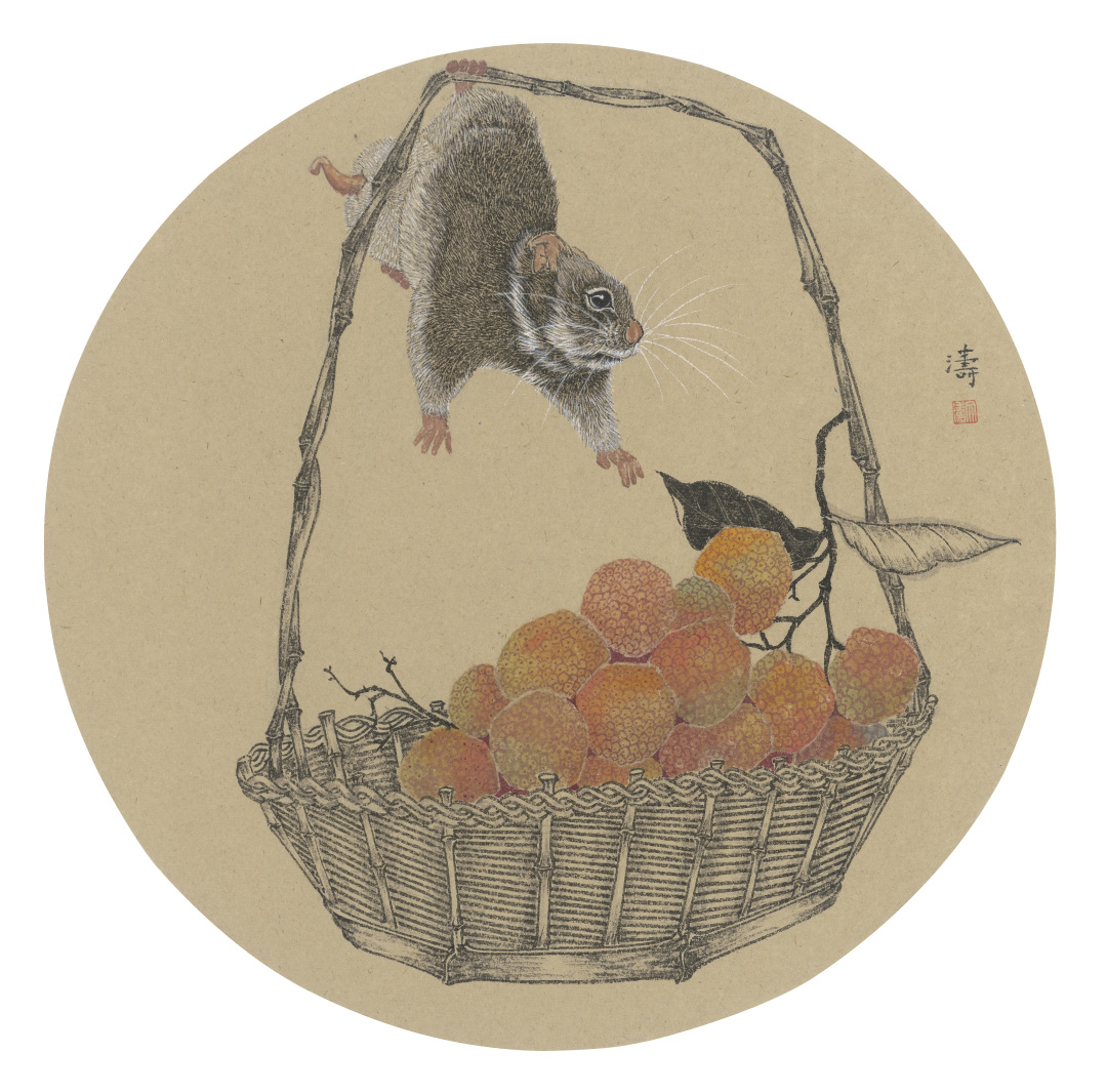 灵鼠物语 萌翻你我——记青年画家王文涛的鼠年画鼠